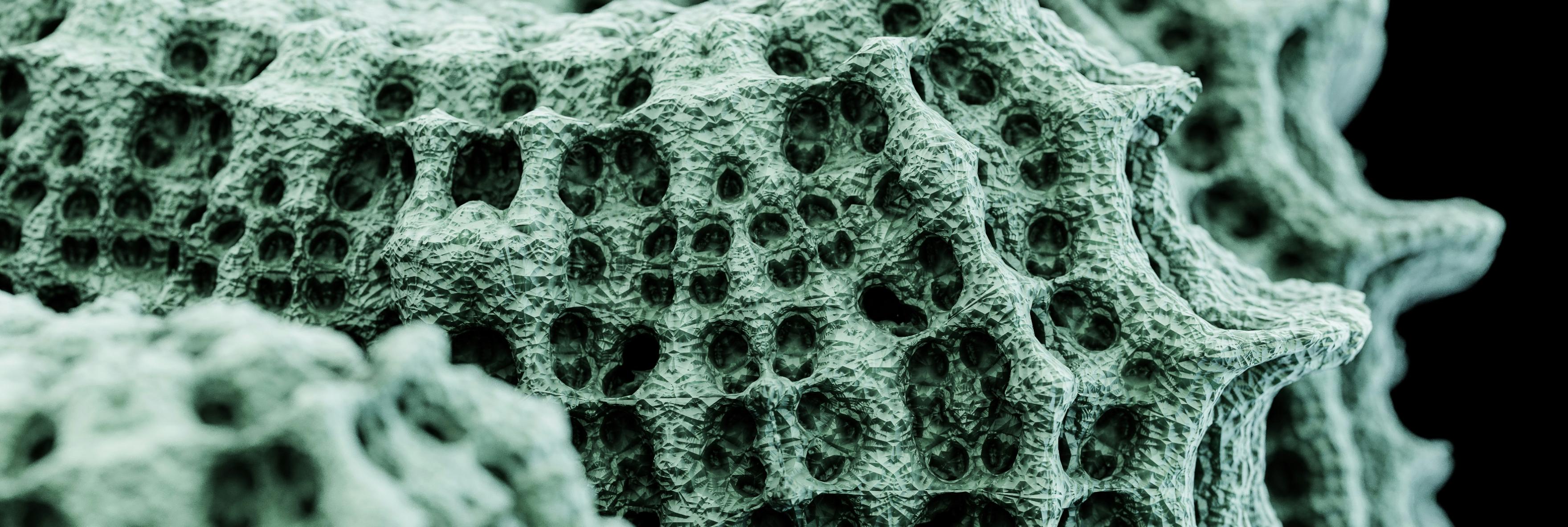 Computer vision in healthcare