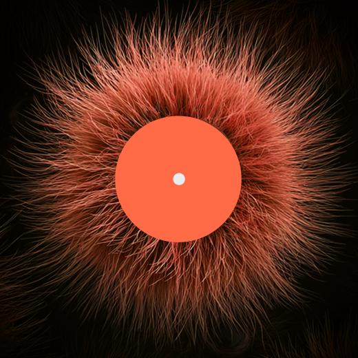 Spooky Season Playlist