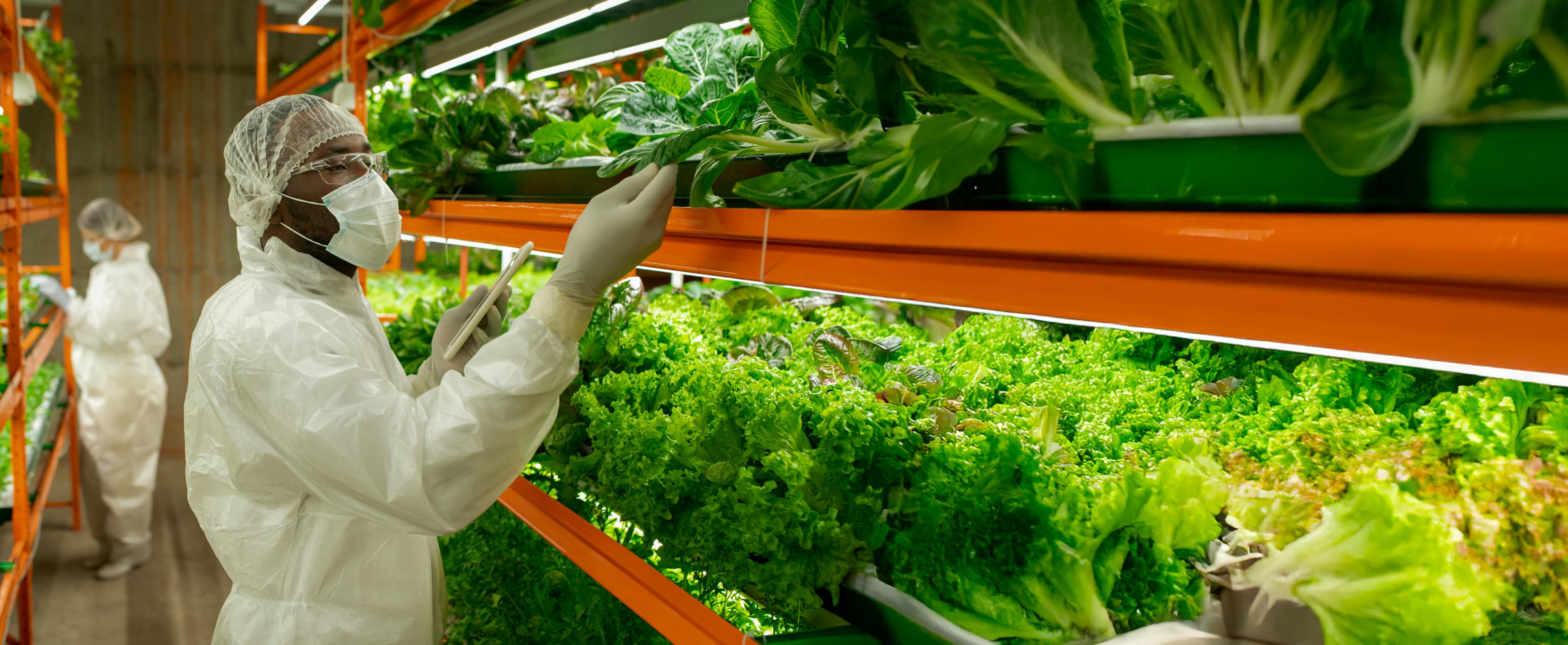 de_foodtech-services_03_cta