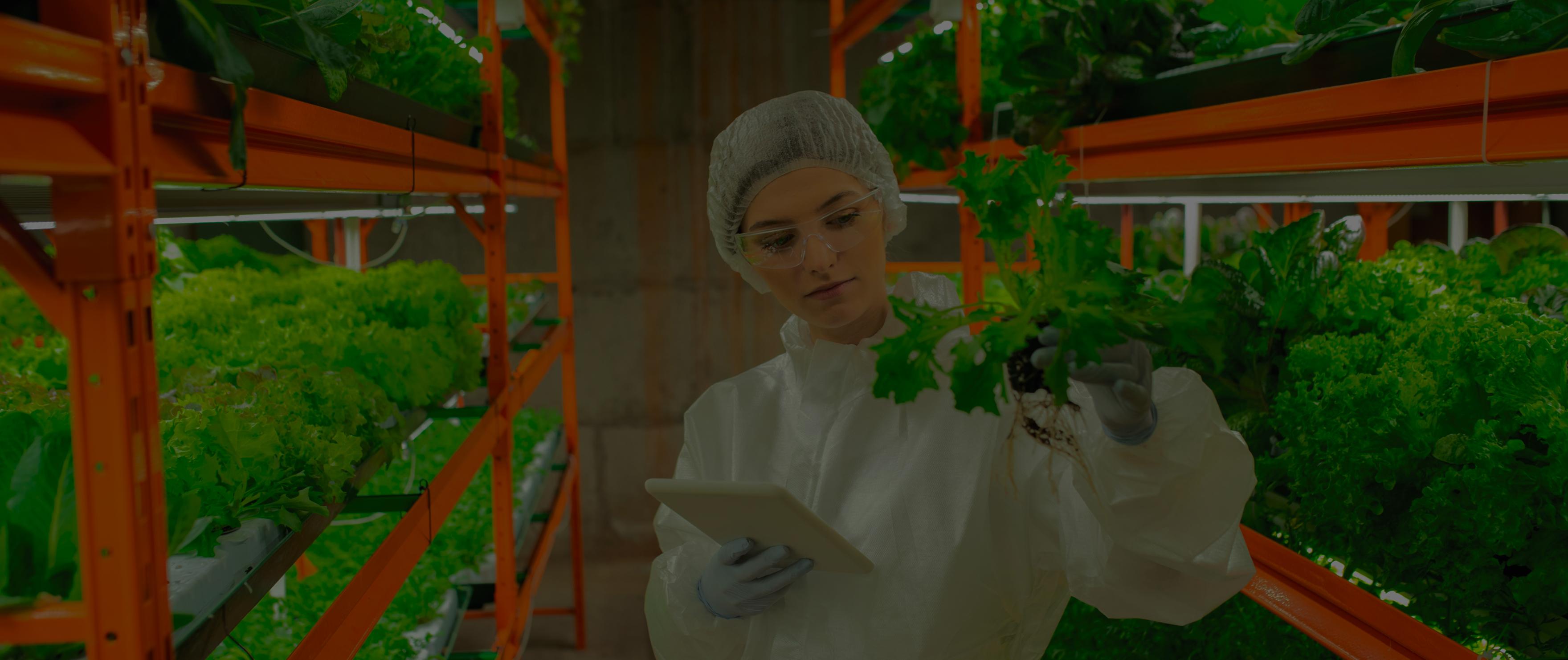 de_foodtech-services_04_numbers