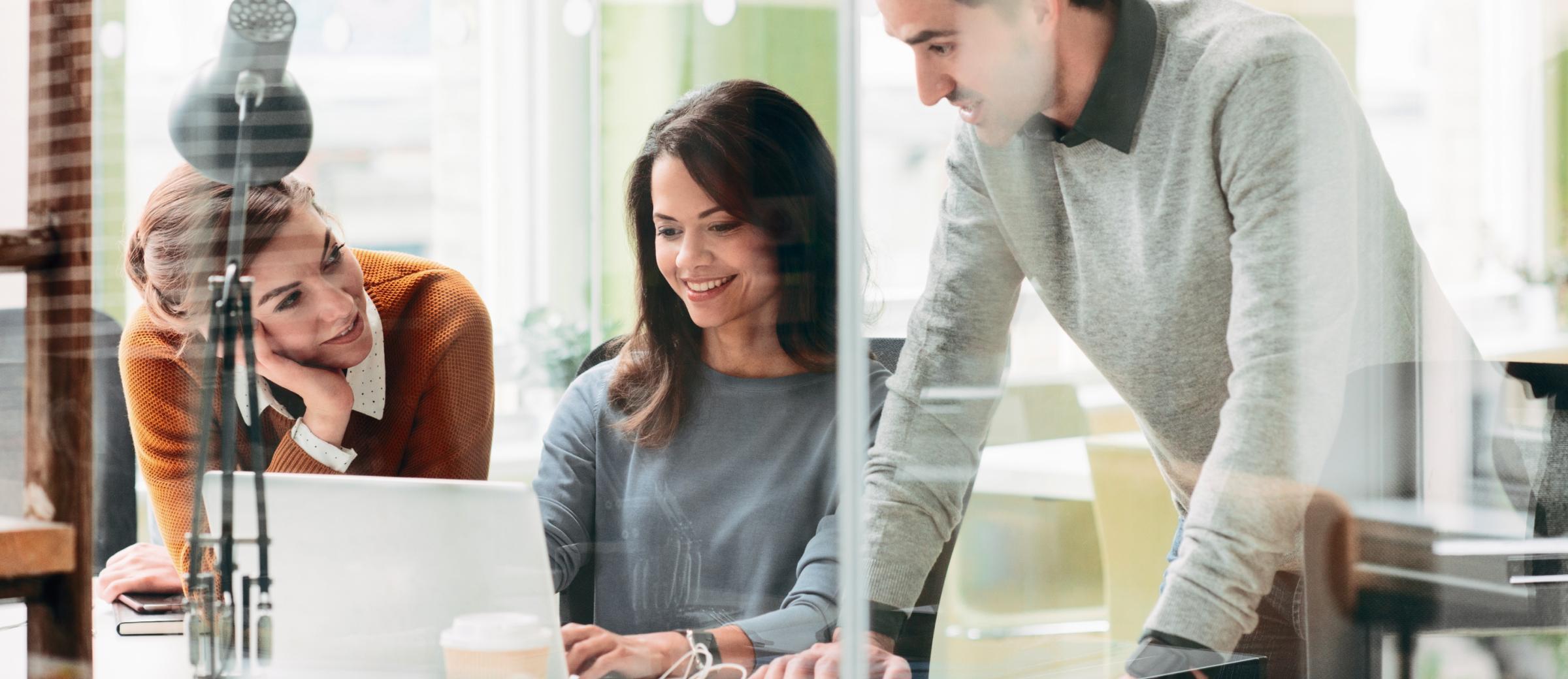 In-house software development