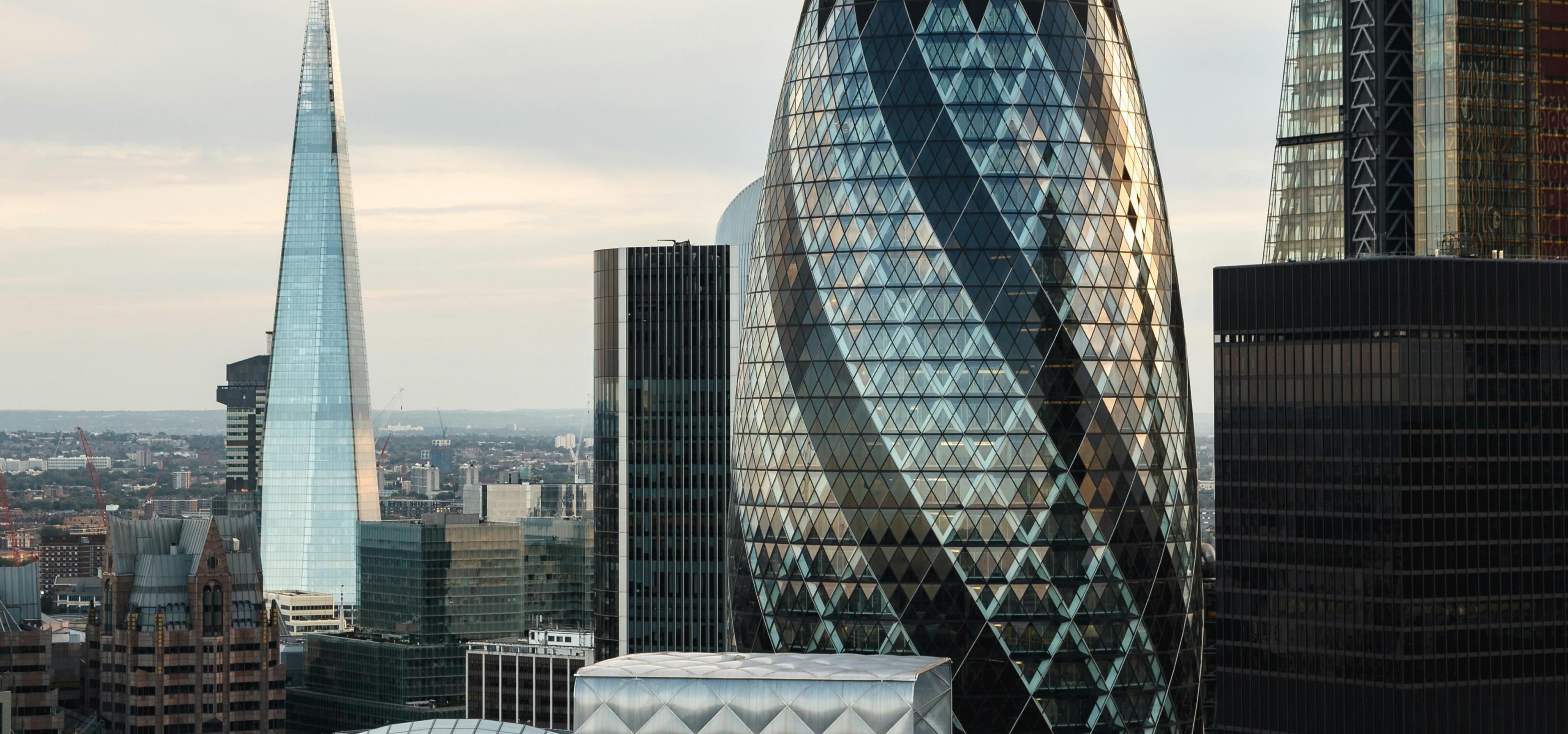 MVP development services