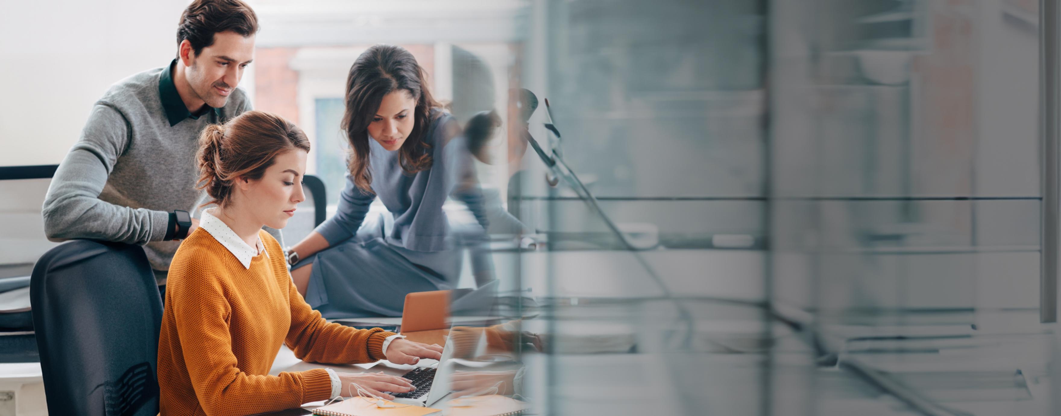 Software development services