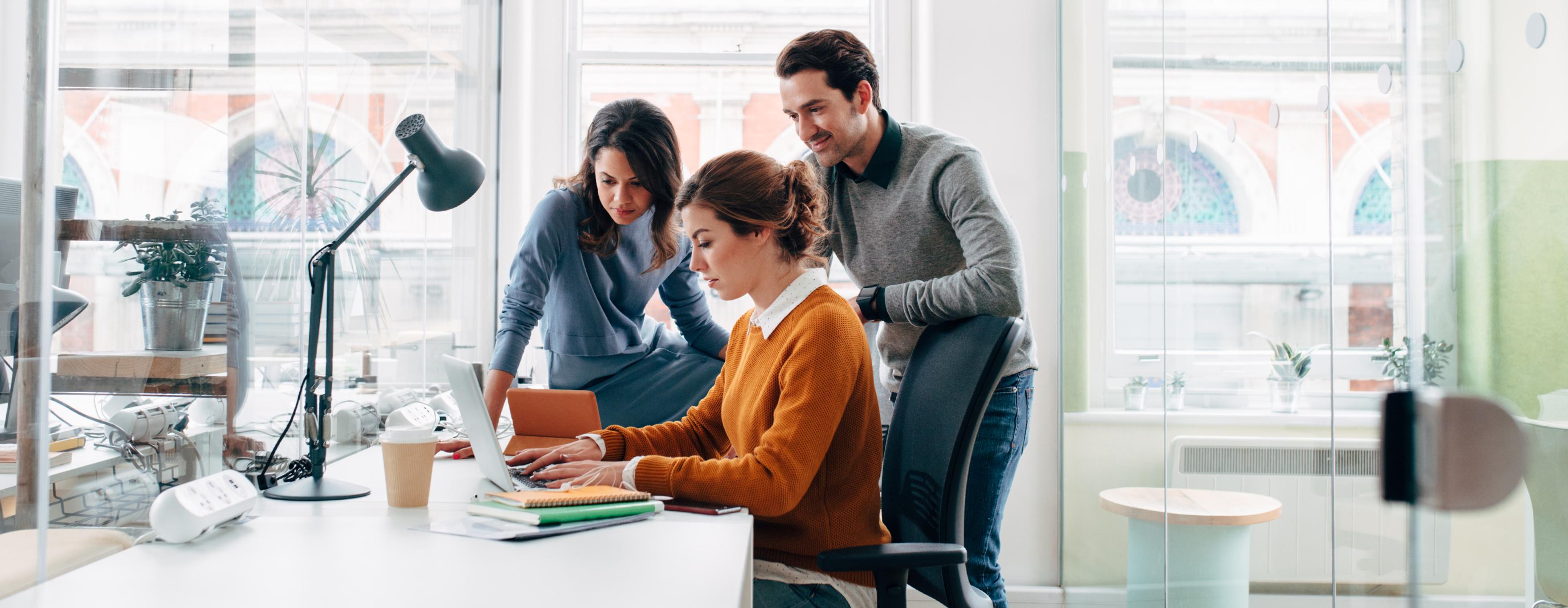 Software development services