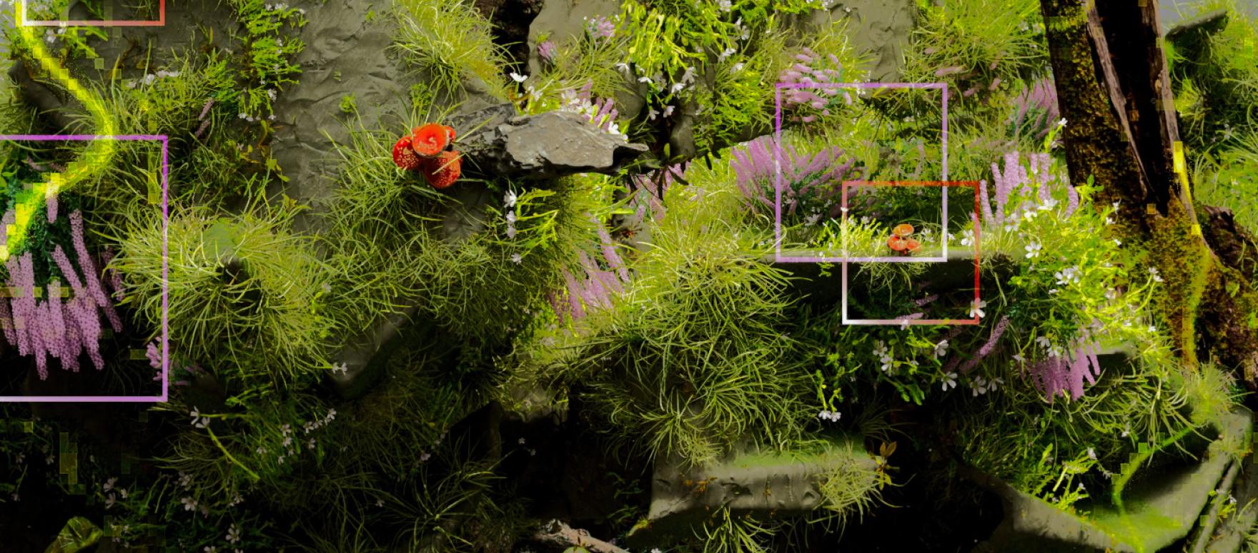 Computer-Vision-Beratung 01