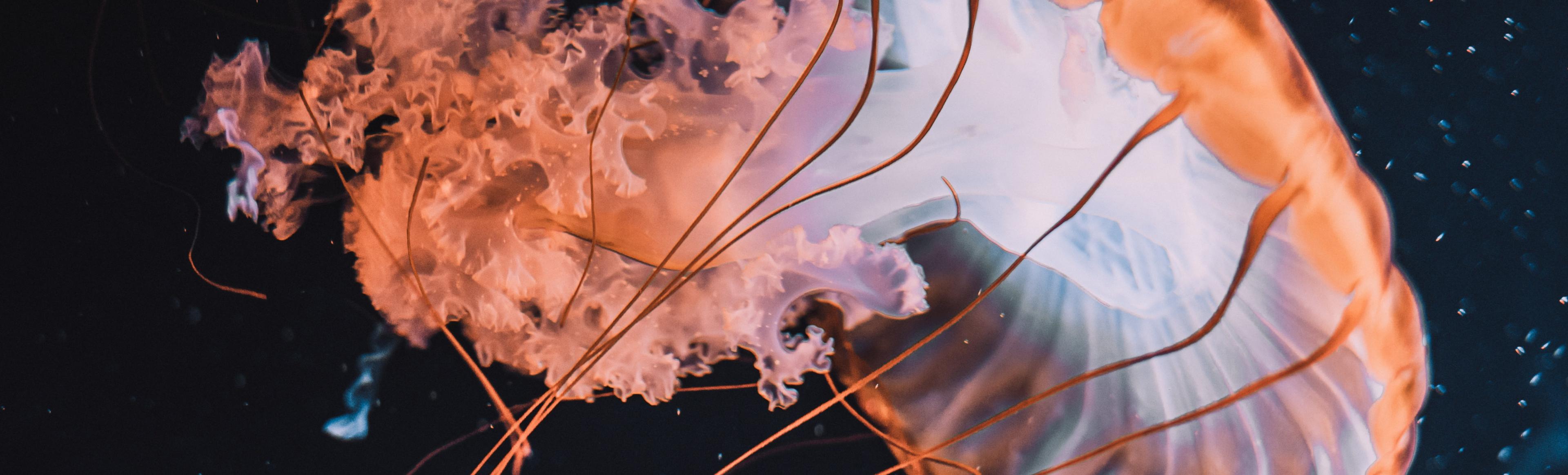 florian-olivo-GVe30cQ8CWU-unsplash_1.original