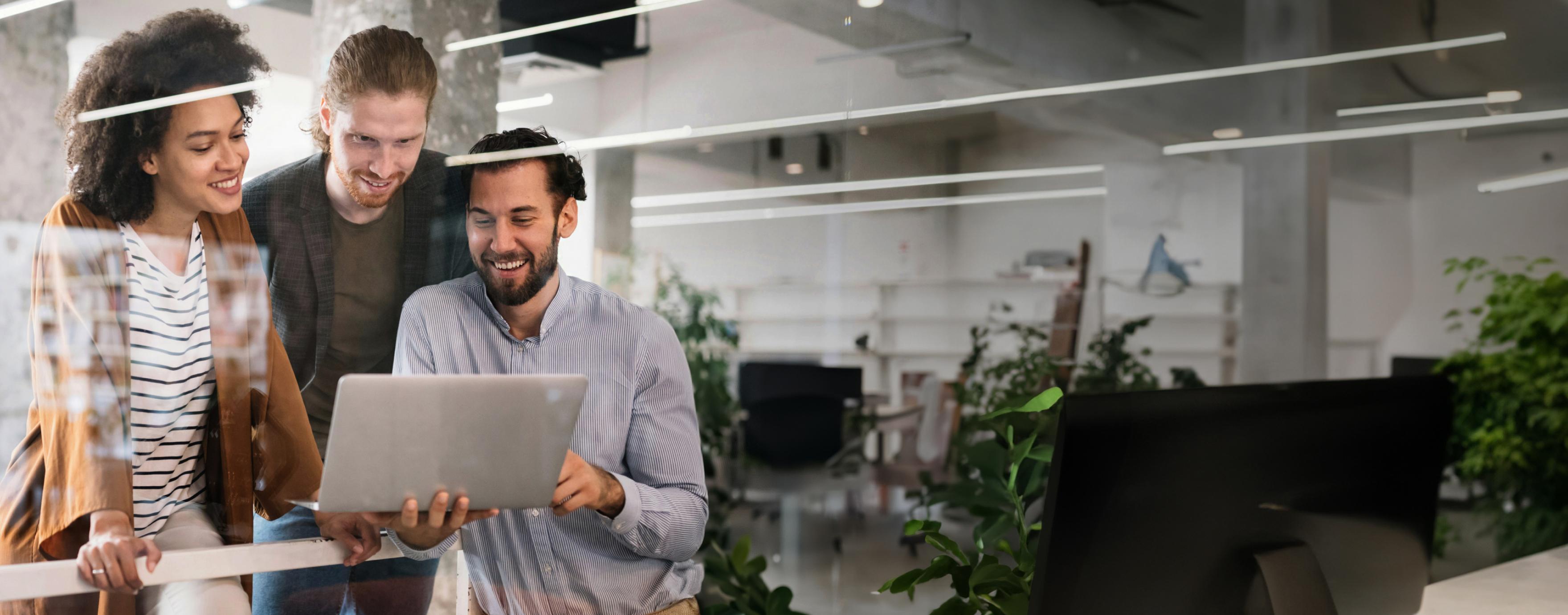 bespoke software development