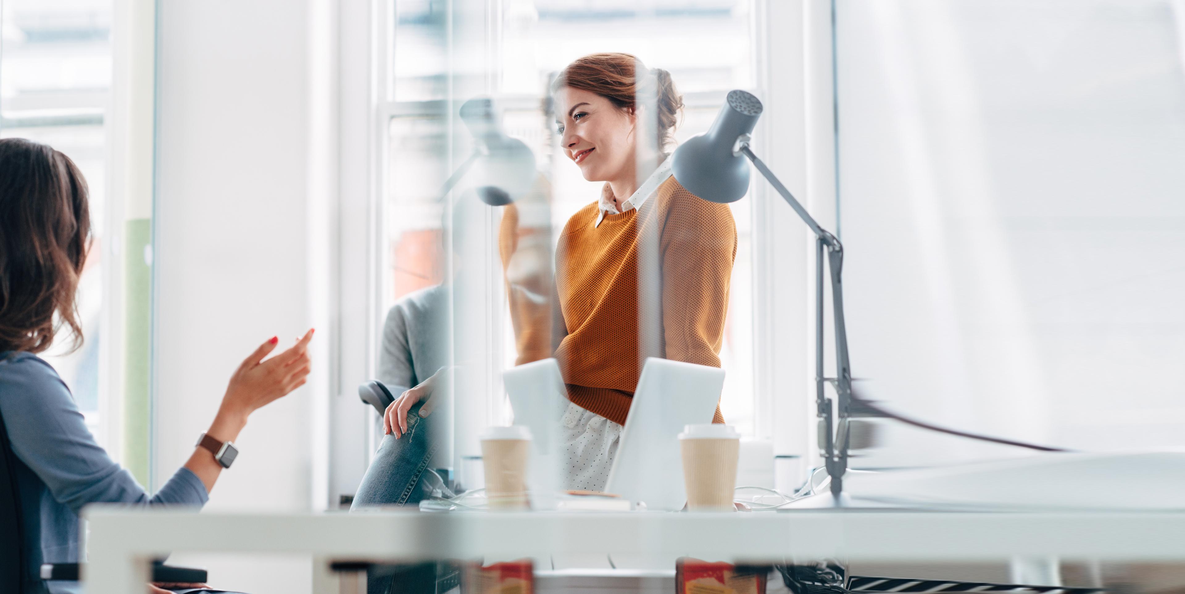 software development consulting